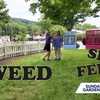 Valley View Farmers: Is it time to feed, seed, or weed the lawn?