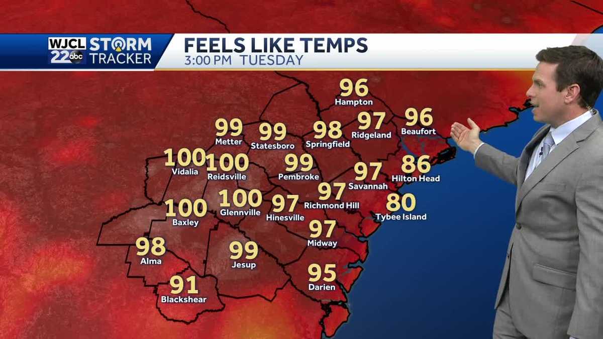 A hot afternoon with showers and storms after 1 pm - WJCL