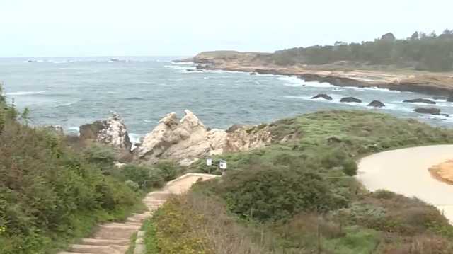 Point Lobos packed for Easter weekend - Vimarsana News