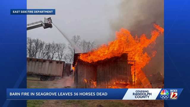 36 horses killed Randolph County barn fire, officials confirm