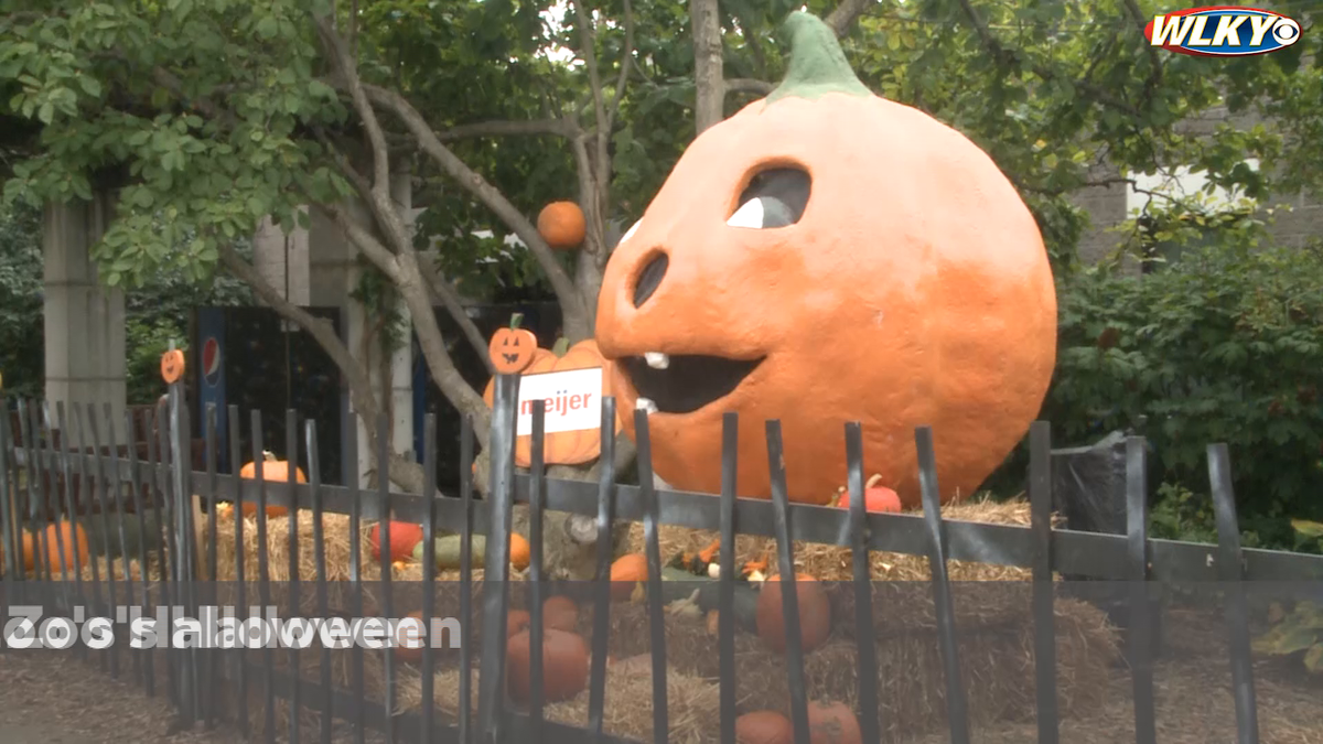 Louisville Zoo hosts World's Largest Halloween party