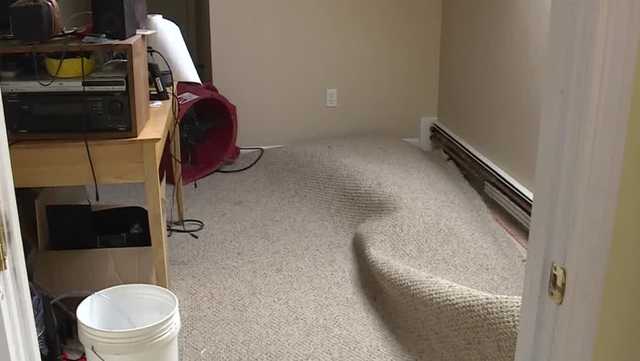 Mainers are still dealing with the lingering impacts of sub-zero temperatures - Vimarsana News