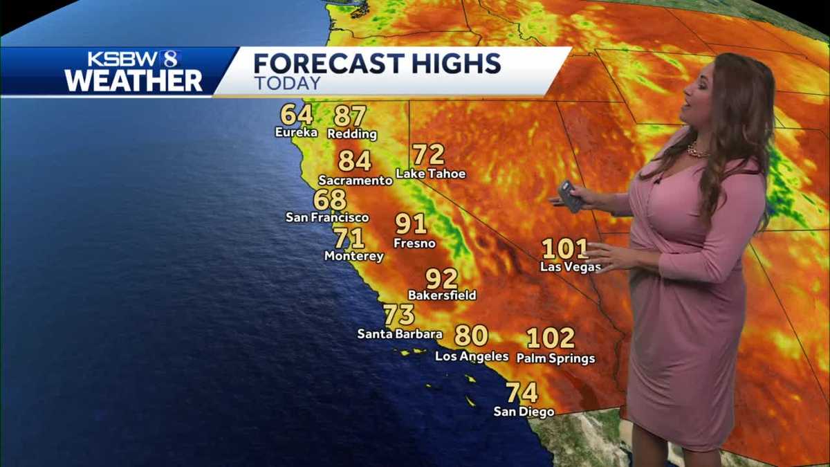 Cloudy morning then mild to warm sunshine