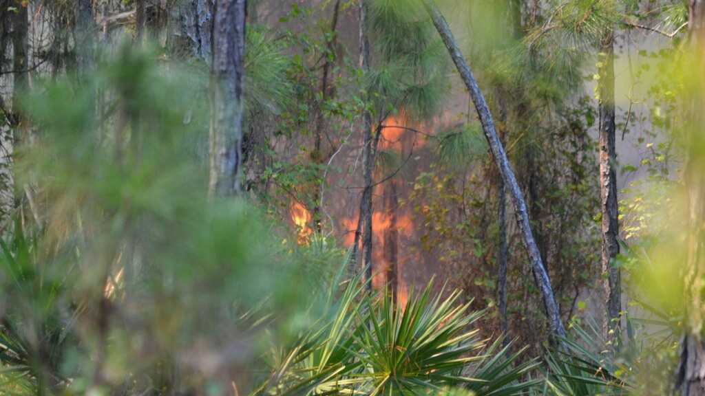 Crews battling Boyton Beach brush fire
