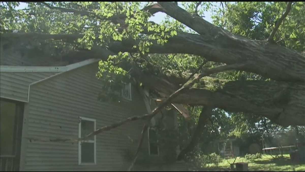Man says he was holding his son when tree fell on house