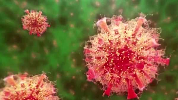 omicron variant 1/5/22