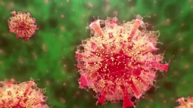 Current spike of omicron variant may lead to unexpected results - Vimarsana News