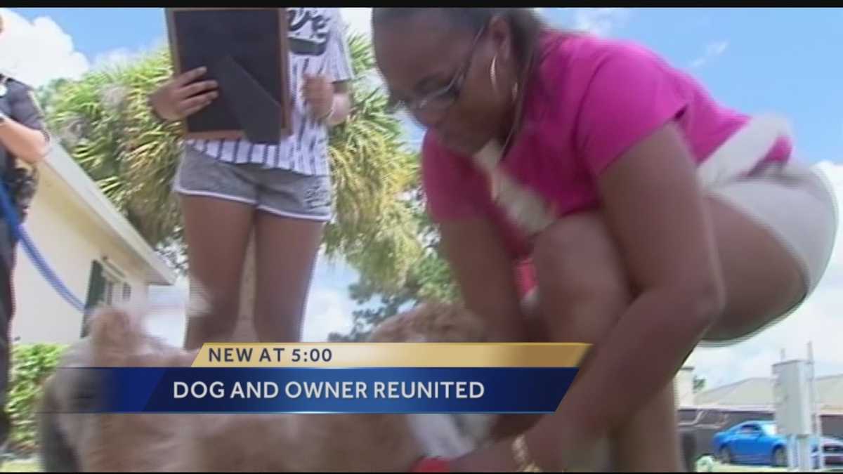 Dog lost years ago reunited with owner