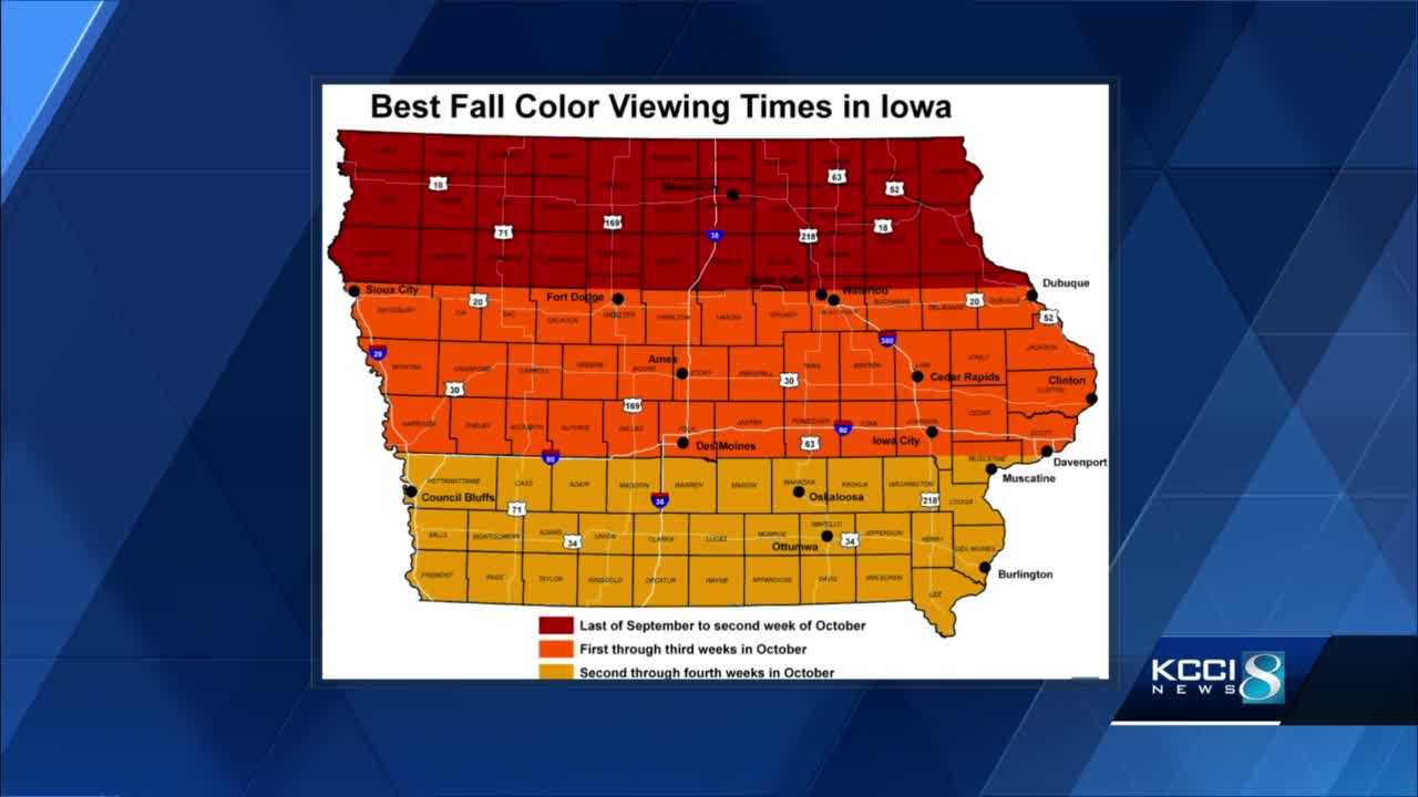 Iowa DNR Says Now Is The Time To Experience Fall Foliage Across The State 5c114fb2 8714 4483 94cb Image 