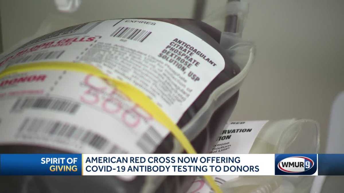 Donate blood this month Red Cross now offering COVID19 antibody