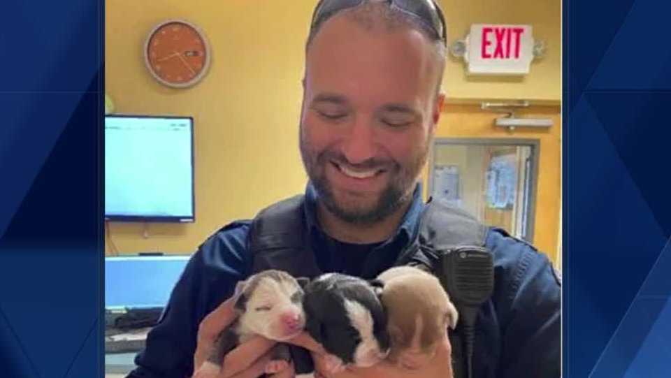 LMPD Officers find and save puppies at crash scene LMPD Officers find and save puppies at crash scene