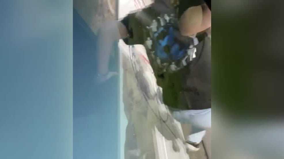 Students seen jumping out windows of burning bus in California - Vimarsana News