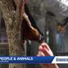 Connecting how animals learn just like humans as a new school year unfolds