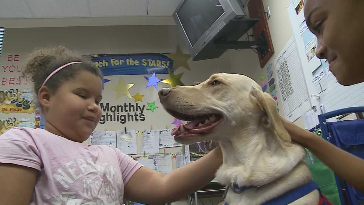 Therapy dog brings smiles to kids' faces at Omaha elementary school