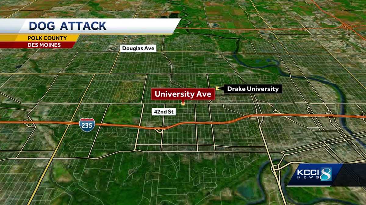 Woman injured in Des Moines dog attack