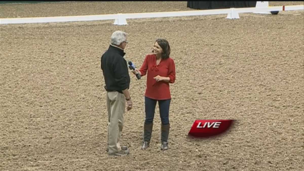 Behind the scenes of a world-class horse-jumping competition