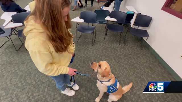 Paws for a cause: UVM students volunteer as puppy trainers for people with disabilities - Vimarsana News