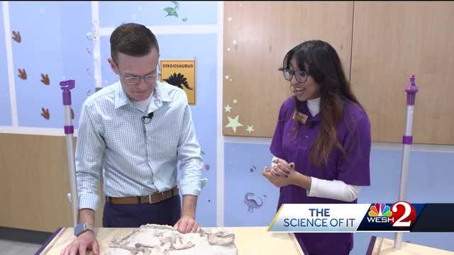 The Science Of It: Learning about dinosaurs from what they've left behind... - Vimarsana News