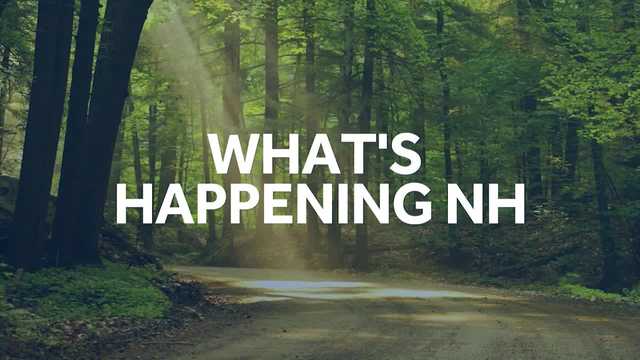 Things to do in NH this weekend: July 15-16, 2023 - Vimarsana News