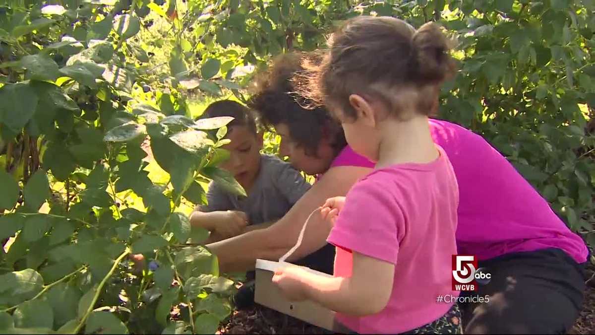 At Ward's Berry Farm it's all about community