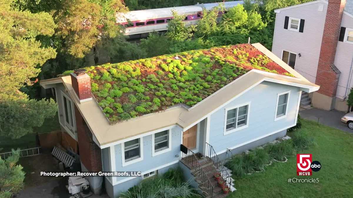 Oldworld crafts get modern updates