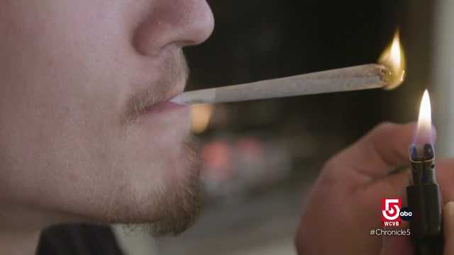 Advocates in Mass. push for 'social consumption' of cannabis - Vimarsana News