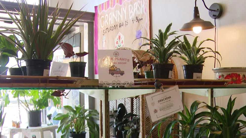 Popular Little Italy shop to close after six years; owner cites economy