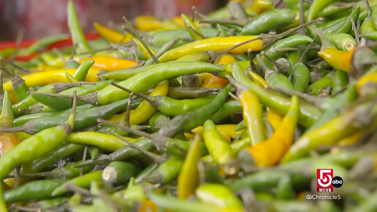 wcvb.com - Mediterranean flavors bloom at Siena Farms