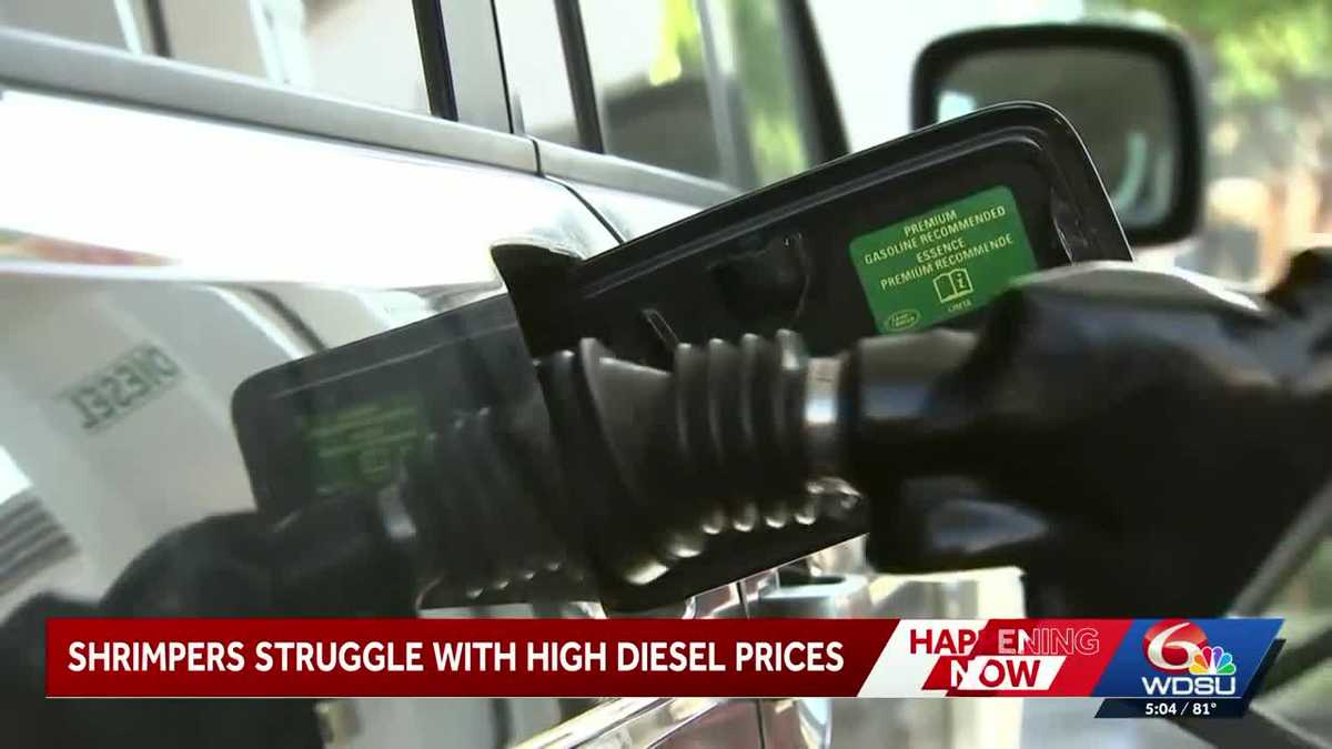 Louisiana shrimpers fear for the future amid high diesel cost