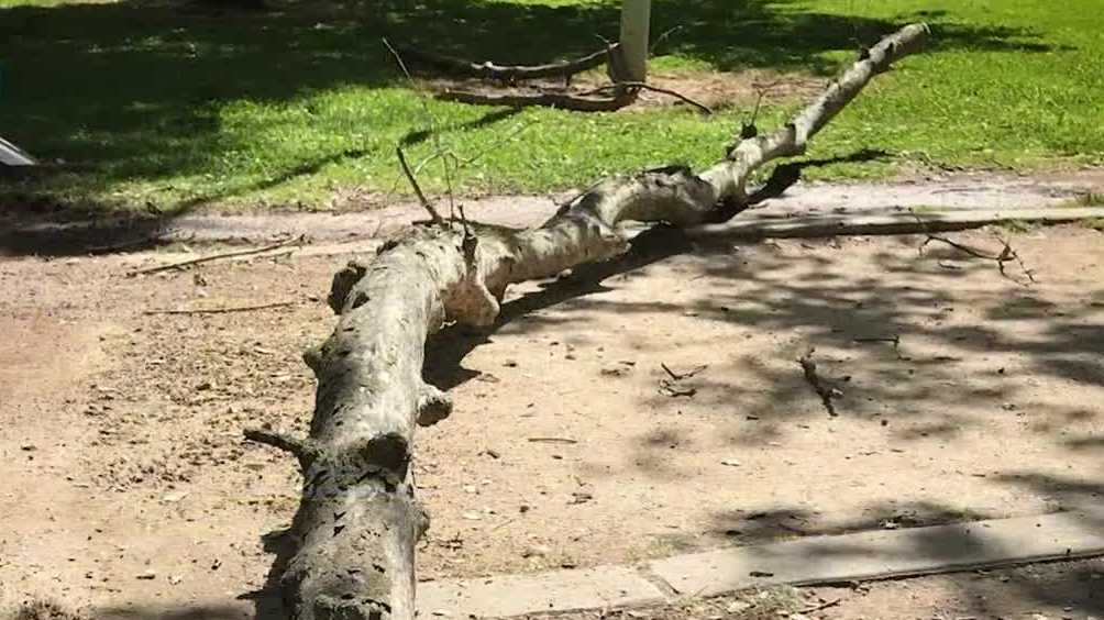 Sacramento jury awards $33 million in McKinley Park case - KCRA
