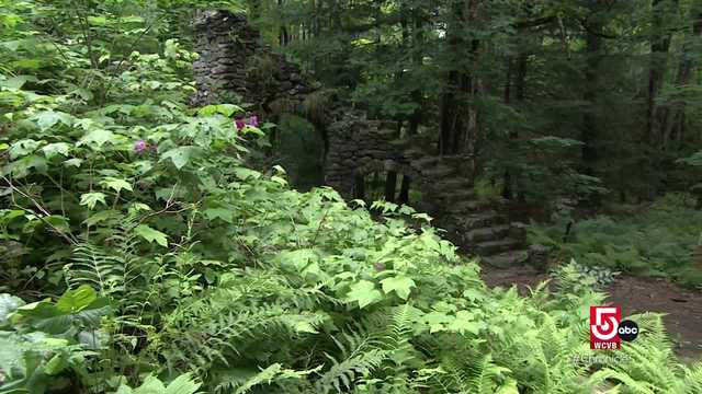 The ruins of an extravagant castle lie in the New Hampshire woods - Vimarsana News