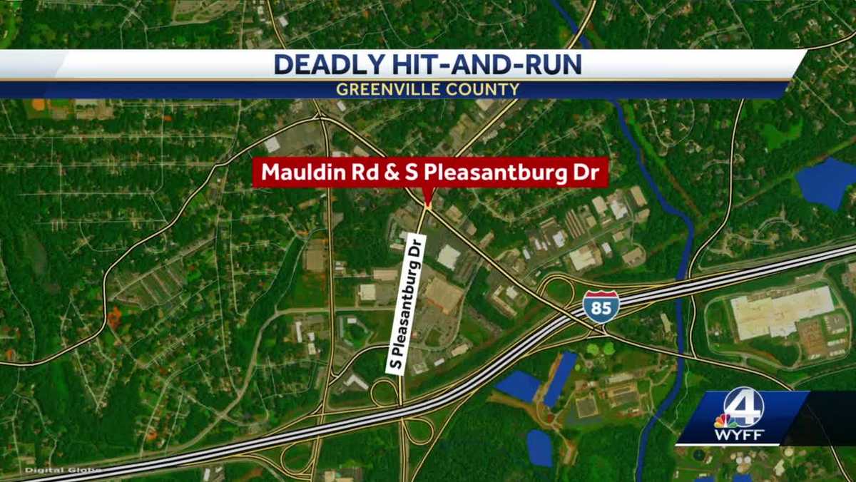 Greenville Police investigating deadly hitandrun