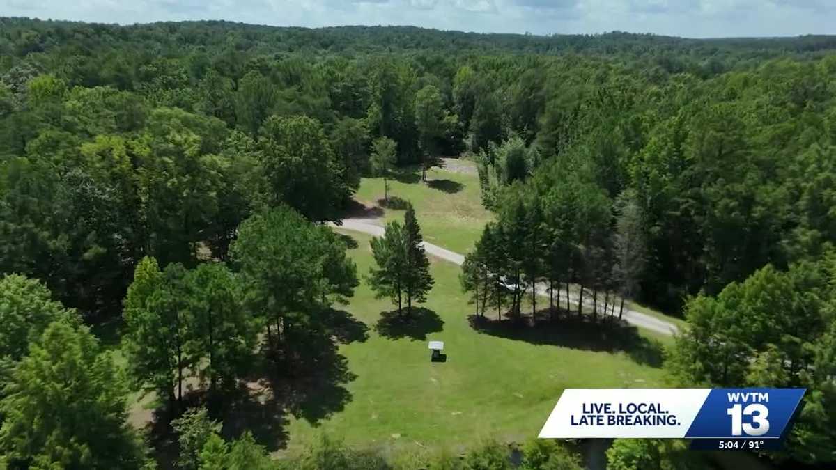 Alabama Power resumes Shelby County transmission line work - WVTM