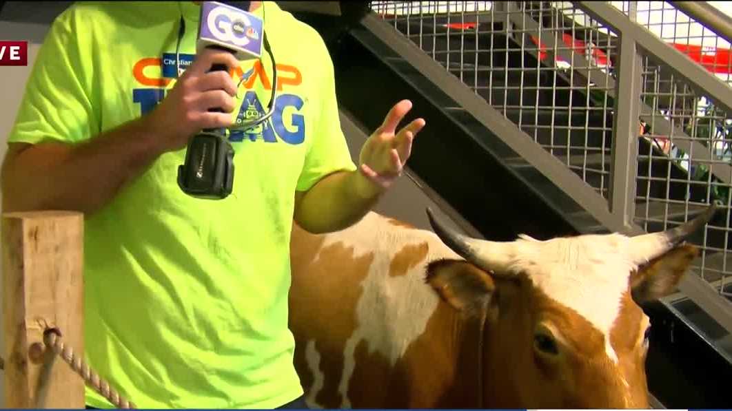 National Cow Appreciation Day with IMAG