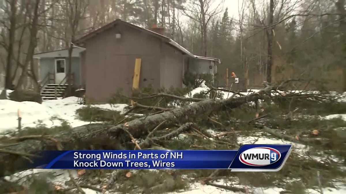 Strong winds in parts of NH knock down trees, wires