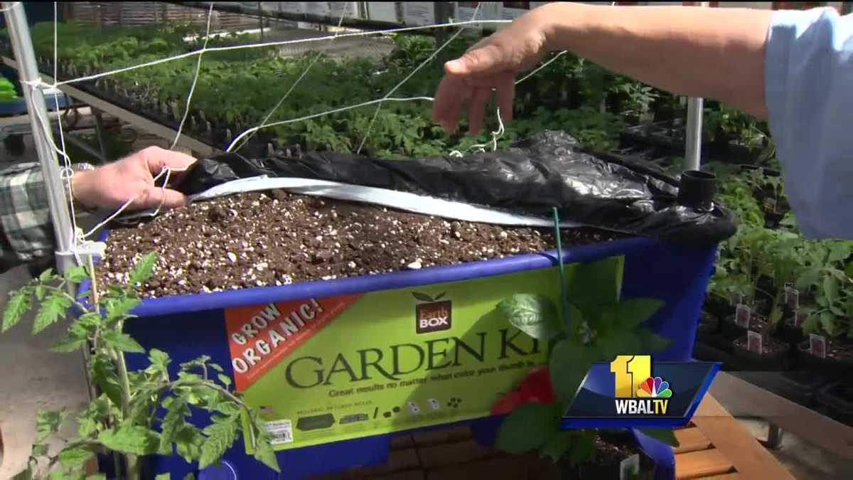 Sunday Gardener: How to use an Earth box to start your garden