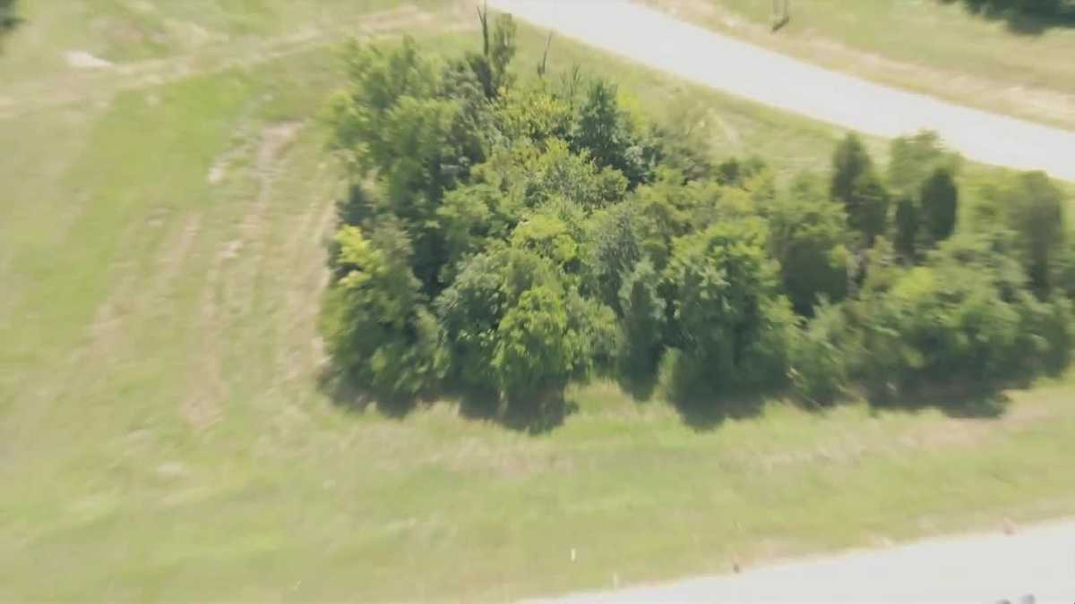 Driver found dead likely days after crashing off Louisville ramp