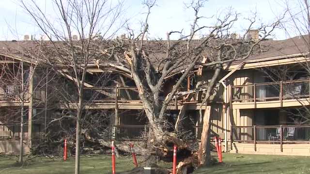 Tornadoes uproot trees, rip roof off building in Walworth County - Vimarsana News
