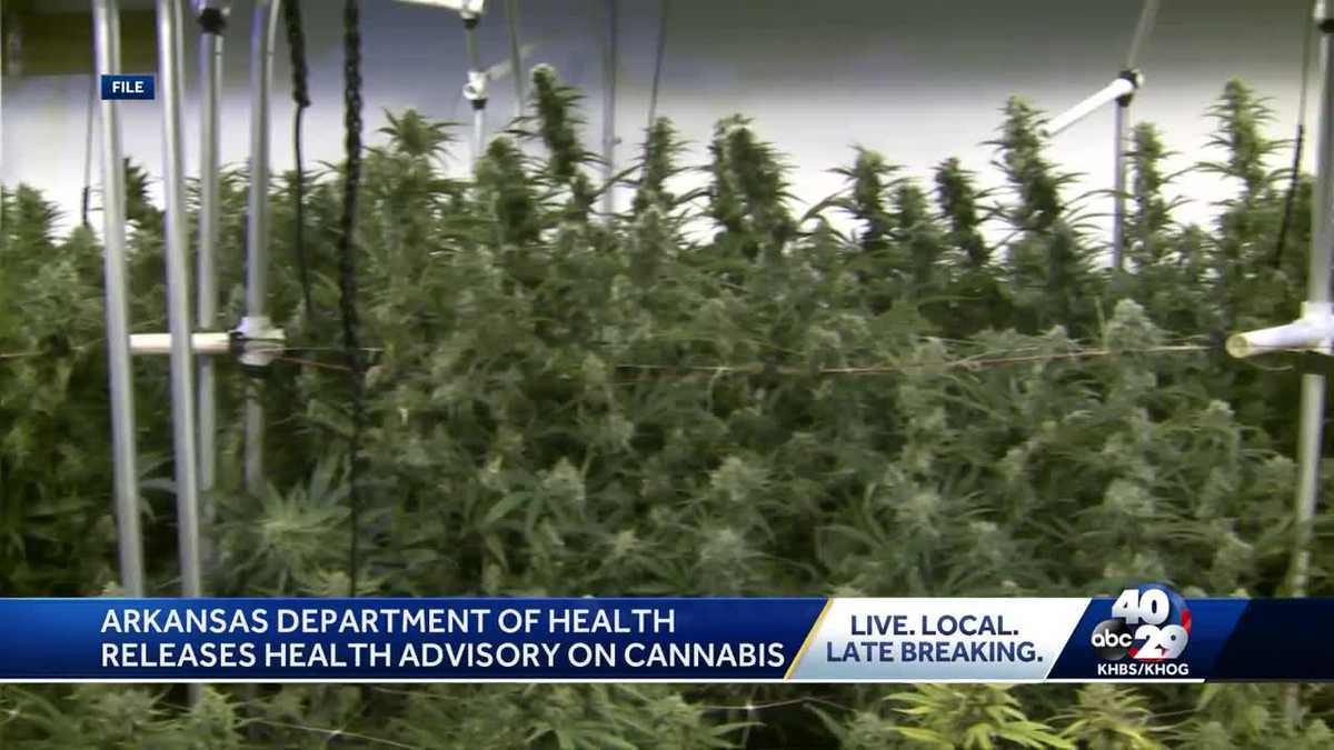 Arkansas Medical Marijuana Commission discusses dispensaries