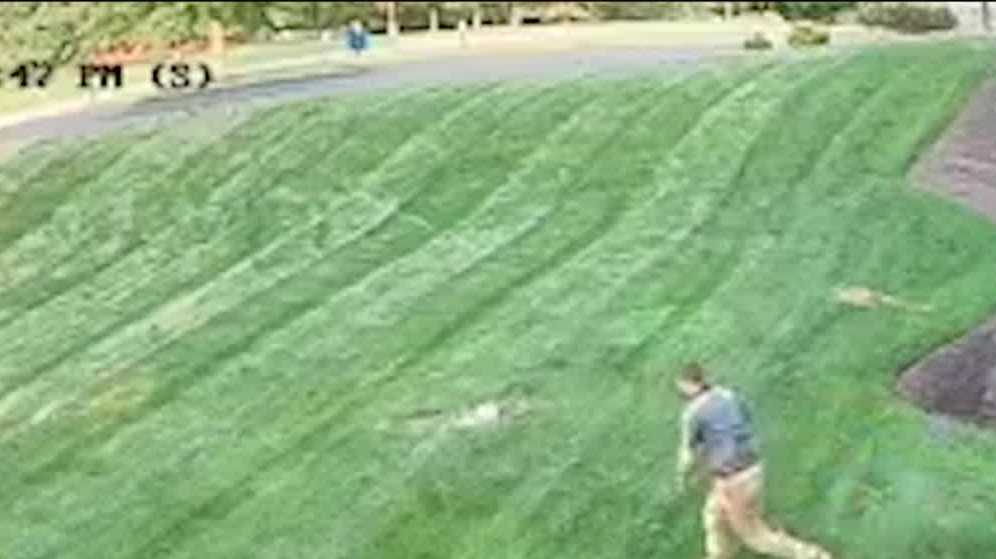 PA Game Commission looking to identify man seen shooting at turkeys