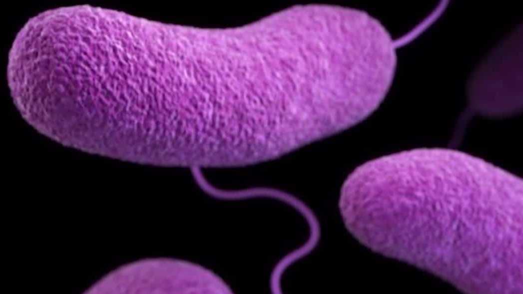 Palm Beach County reports Florida's first 'flesh-eating bacteria' death this year
