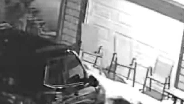 Caught on camera: Coyotes snatch family’s Chihuahua from fenced Port Orange yard
