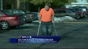 Hit and run victim's plea to unknown driver