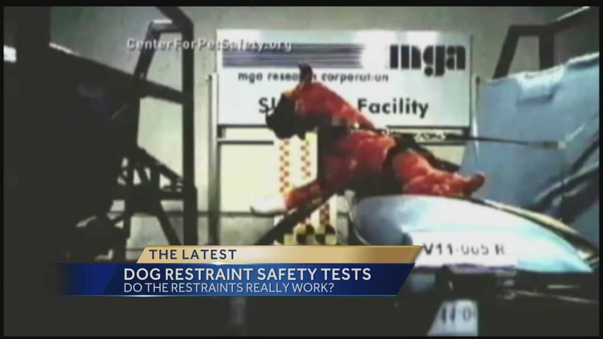 Dog Restraint Safety Tests