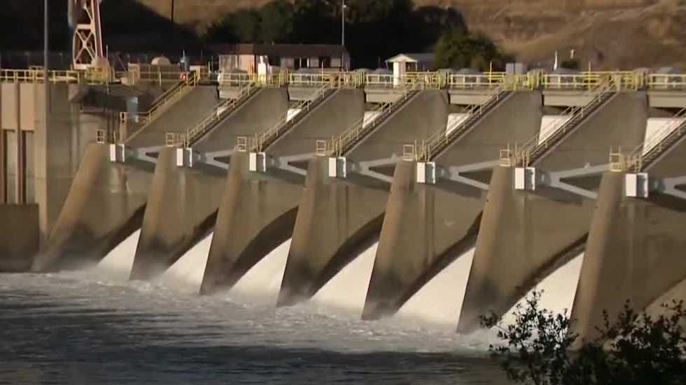 Nimbus Fish Hatchery delays the opening of its salmon ladder