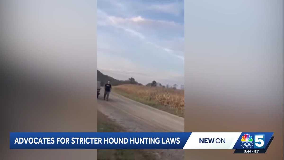 Vermonter raises concerns over hound hunting laws after verbal altercation
