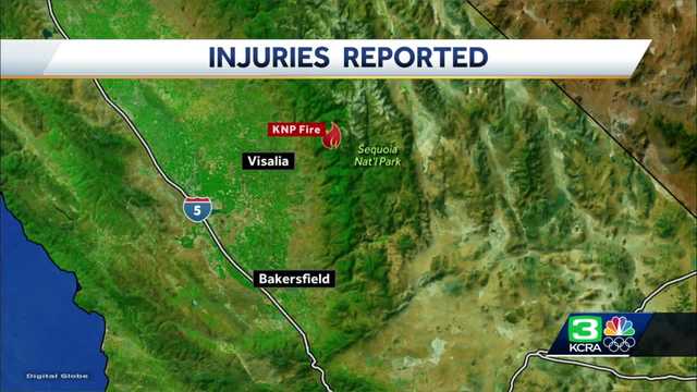 4 firefighters battling KNP Complex hurt after tree falls on them - Vimarsana News