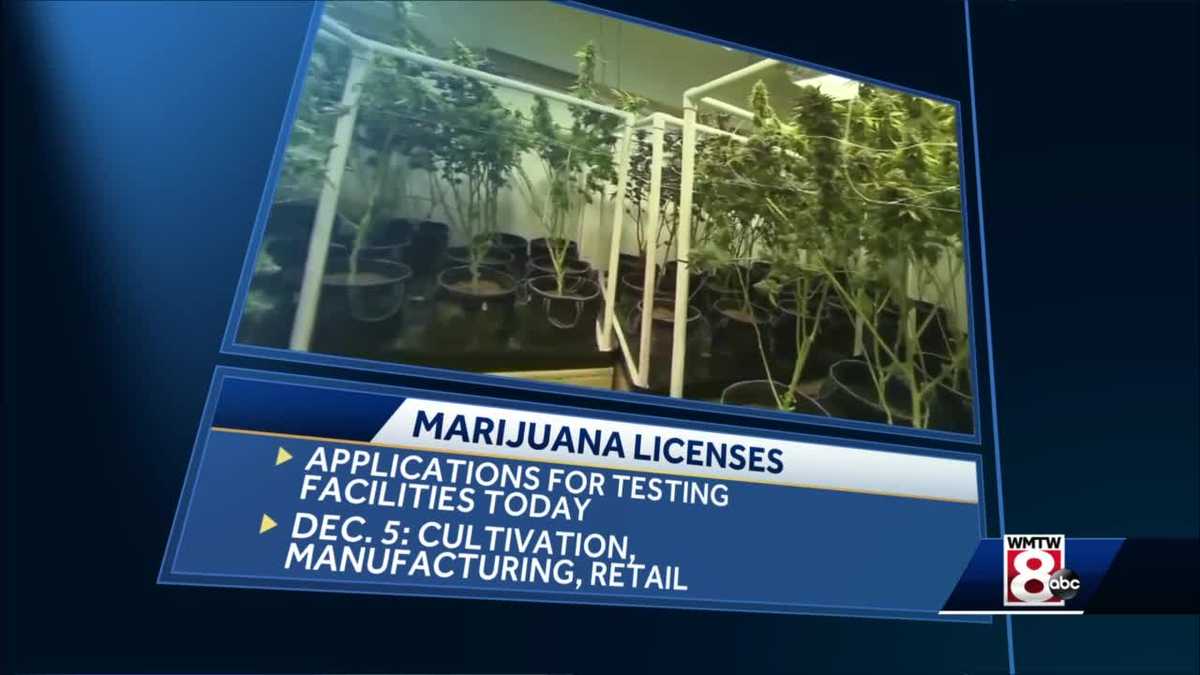 Maine marijuana facilities can get application licenses Monday