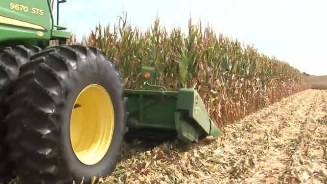 Harvest season in Kentucky, Indiana beginning; farmers urge safety - Vimarsana News