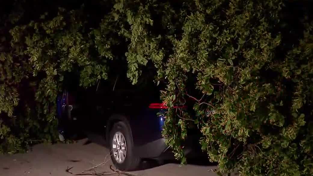 Tree crashes onto car with child inside in Milwaukee